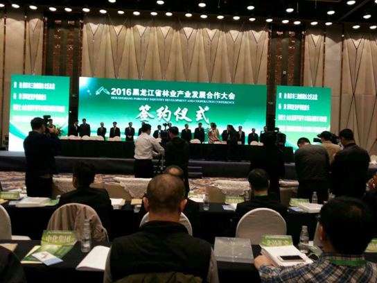 仟億達(dá)831999碳交易業(yè)界影響力較強(qiáng)，副總田衛(wèi)然接受黑龍江廣播電視臺采訪