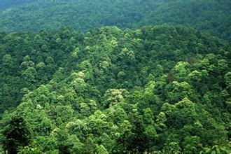 仟億達(dá)碳資產(chǎn)交易 幫人類(lèi)找回一個(gè)干凈的文明社會(huì) 仟億達(dá)碳資產(chǎn)交易 幫人類(lèi)找回一個(gè)干凈的文明社會(huì)