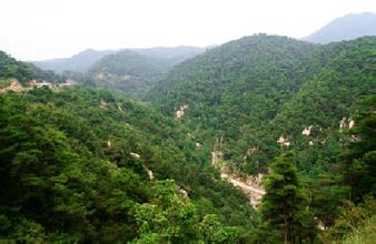 祝賀仟億達(dá)集團(tuán)與陜西定邊縣達(dá)成造林碳匯項(xiàng)目合作 祝賀仟億達(dá)集團(tuán)與陜西定邊縣達(dá)成造林碳匯項(xiàng)目合作