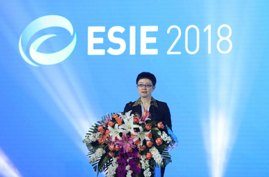 國能源局副司長劉亞芳致辭 國能源局副司長劉亞芳致辭